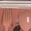 Bento Box, 44oz 4 Compartment Lunch Container with Cutlery for Kid/Adult/Toddler, Leak Proof, Microwave/Dishwasher/Refrigerator Safe, BPA Free (Pink)