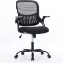NEWBULIG Office Desk Task chair with Lumbar Support and Comfortable Armrests, Flip-up Arms, Black-flip up