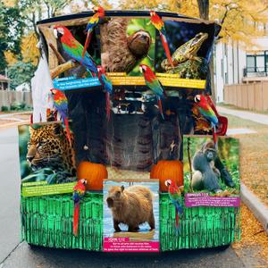 Halloween Religious Jungle -to-jesus Trunk or Treat Car Decorations Kit Christian Halloween Trunk or Treat Decorating Religious Wild Animals Jungle Car Decor for Archway Garage Door Party Supplies