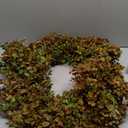 26'' Large Fall Wreath for Front Door, Porch, Window- Artificial Boxwood Leaves Outdoor Autumn Wreath for Home, Farmhouse Wall Thanksgiving Day Harvest Festival Decor