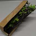 4 Pcs Artificial Ficus Branches Faux Eucalyptus Stems, 47.2 Inch Fake Greenery Stems Artificial Plants for Vase Filler Decoration, Fake Leaves Branches Centerpieces Decor