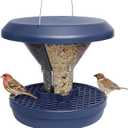 Bird Feeders Hanging Station - Davos - Smart Bird Feeder - No Mess Bird Seed - Seed Tray - Gardening Gifts - Bird Watching Gifts - Bird Table - Robin Food - Blackbird