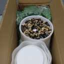 SAJANDAS Set of 2 Artificial Monstera Deliciosa Plants in Pots, Fake Tropical Trees with Greenery Leaves Stems, 32 Inch Faux Swiss Cheese Floor Plants for Home Porch, Garden, Office, Store Decor