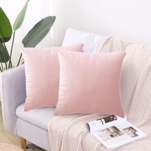 2 Pack Soft Velvet Couch Throw Pillow Covers 17x17 Inch for Sofa Living Room Bedroom (Pink)