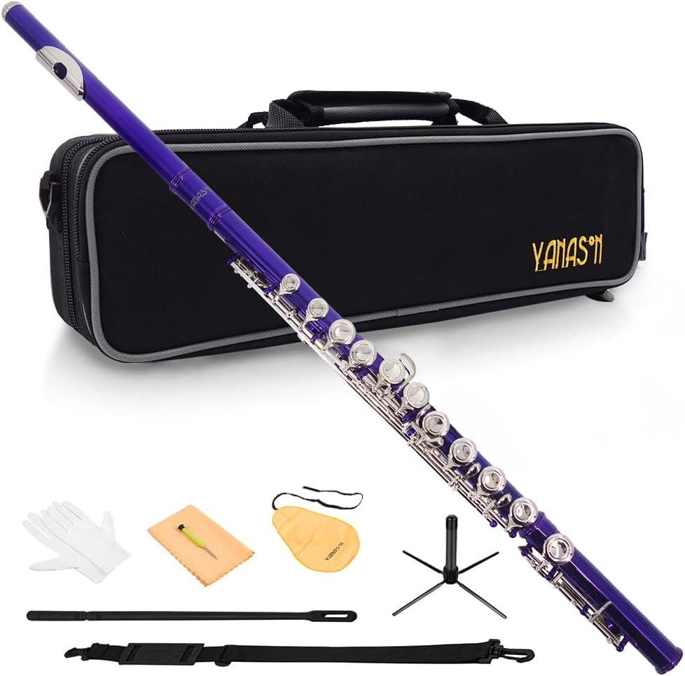 Purple C Flute Closed Hole 16 Keys Flute Nickel-Plated for Beginner, Student and Professionals with Carrying case, Metal stand, Gloves, Tuning Rod, Cleaning kit (Purple)