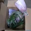 Fake flowers