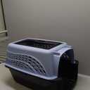 Petmate Dog Crates for Small Dogs & Cat Carriers, Two-Door Plastic Pet Kennel, Top & Front Loading, Made in USA, 24", Blue (24.1"L x 16.8"W x 14.5"H)