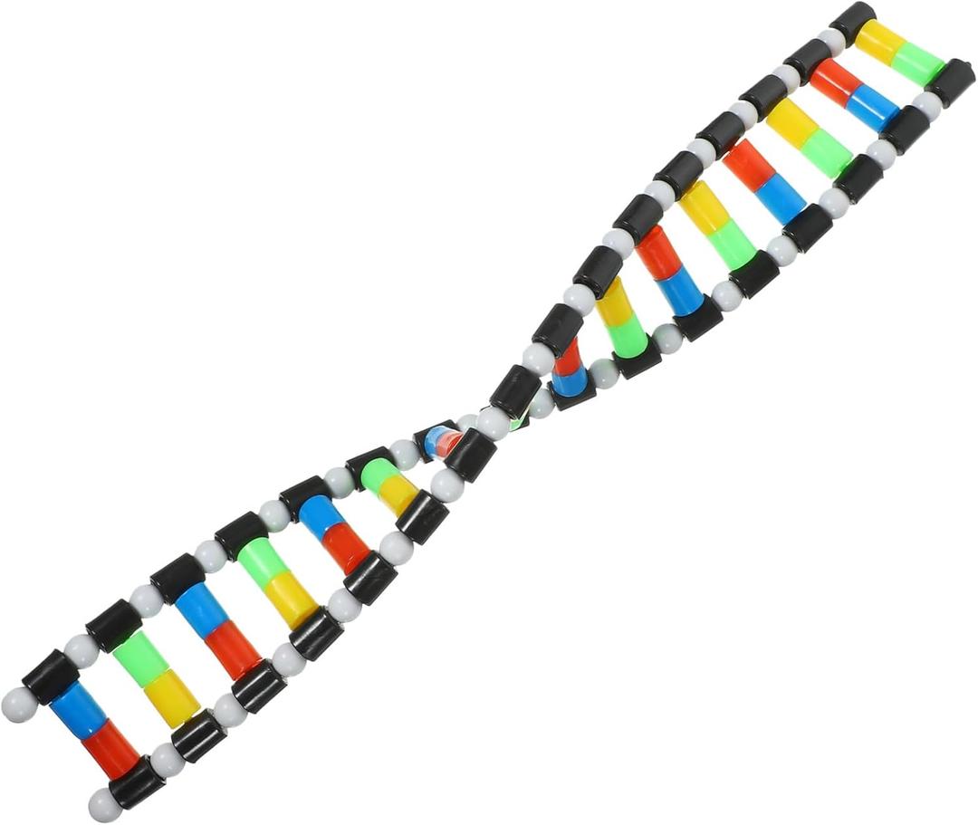 VOSAREA DNA Model Double Helix Model DNA Display Component for Science Teaching Display