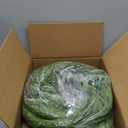 NSBELL 6 Ft Artificial Norfolk Pine Garlands, Real Touch Winter Pine Garland, Green Artificial Greenery Garland for Table, Mantle, Wall, Indoor, Outdoor Christmas Decorations