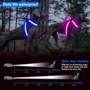 ChalkLit Light Up Dog Harness, No Pull Led Dog Harness Glow-in-The-Dark for Night Walking, USB Rechargeable Lighted Safety Vest for Medium Large Dogs, Adjustable Soft Mesh Fully Illuminated (Blue, XL)