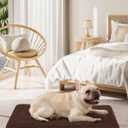 OhGeni Orthopedic Waterproof & Machine Washable Dog Bed for Small Medium Pets, Suitable for Crates, Cat Mat with 25D Egg Crate Foam, Removable Cover, 30 Inches(Brown)