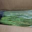4ft Tall Artificial Pampas Grass, 4 Pcs Faux Plants for Indoor Outdoor Floor Decor, Large Greenery for Garden Patio Home Lobby