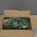 BAENRCY 32pcs 0.79-6.30inch Model Trees Mixed Size Miniature Trees Model Train Scenery Architecture Trees Model Scenery with No Stands(All Green)