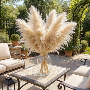 JOHOUSE 16PCS 40'' Dried Pampas Grass Home Decor - Fluffy Real Tall Pampas Grass for Floor Vase Boho Bedroom, Wedding & Rustic Farmhouse