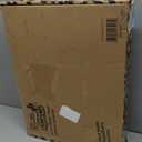 Baby Einstein Ocean Explorers 4-in-1 Kickin Tunes Jellyfish Jamboree Music & Language Discovery Gym, Pink, Ages 0 Months and Up