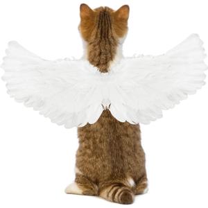 Rypet Pet Halloween Angel Costume - White Angel Feather Wings Halloween Cosplay Dress Up Accessories Puppy Cat Costume for Party Decoration