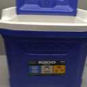 Igloo Hard Cooler | Profile, Quantum & Legends Series | Insulated Ice Chests, 16 Qt