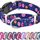Martingale Collar for Dogs, Adjustable Soft Nylon Dog Collars with Special Design Cute Patterns for Small Medium Large Dog, M