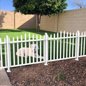 ECOOPTS 36" H x 84" W Vinyl Picket Fence Panels White Decorative Fence for Garden Patio Yard Pool Walkways (20 Pickets, Scallop)
