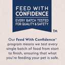 Natural Balance Limited Ingredient Adult Grain-Free Dry Cat Food, Salmon & Green Pea Recipe, 10 Pound (Pack of 1)