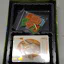 Renegade Game Studios Fox in the Forest Deluxe 2 Player Trick-Taking Card Game, Fairy Tale Strategy Game with Foil Cards & Acrylic Tokens, Ages 10+