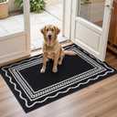 Ileading Indoor Door Mat 2x3ft, Absorbent Dog Muddy Paws Mats, Low-Profile Entrance Small Runner Carpet with Non-Slip Rubber Backing, Washable Inside Welcome Mat for Hallway,Entryway,Kitchen(Black)