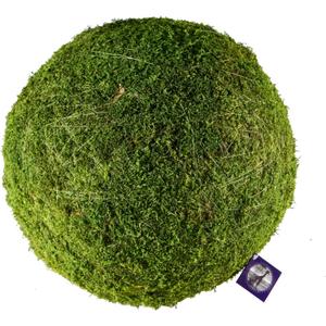 SuperMoss (21775) Preserved Moss Ball  Natural Green Decor for Home, Weddings & Events  Vase Fillers & Centerpieces, 12, Fresh Green