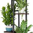 LINZINAR Plant Stand Indoor 4 Tier 5 Potted Multiple Plant Shelf Stands for Garden Corner Balcony Living Room