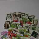 Mixed Seedlings 50 Pack