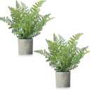 FAVOWREATH 2 Pack Small Fake Plants Potted Artificial Plants Indoor for Home Decor Office Room Farmhouse Indoor Table Bathroom Decor (Green)
