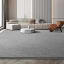 Modern Large Area Rug for Bedroom Living Room, 4x6 Feet Grey Thickened Memory Foam Washable Rugs, Non-Slip Soft Minimalist Solid Indoor Carpets for Boys Girls Nursery Room Décor