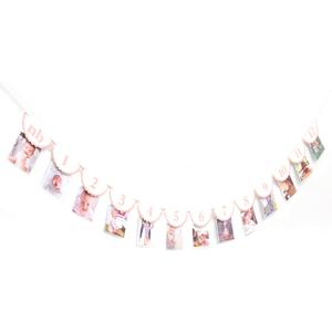 Pink Monthly Milestone Photo Banner - Baby Girl First Year Photo Banner, Pink 1st Birthday Party Decoration for Girl, Newborn to 12 Months Photo Garland, Girl Birthday Cake Smash Photo Props Backdrop