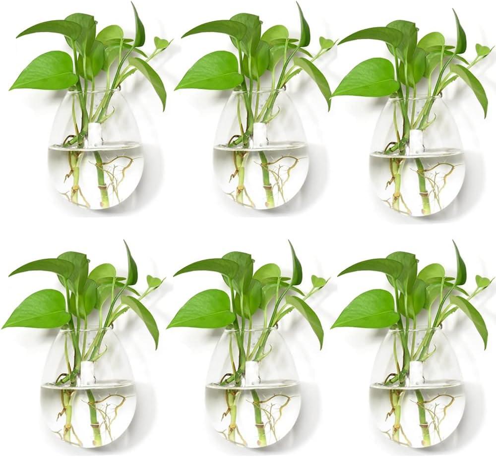 Glass Wall Planters Glass Terrariums Hanging Indoor Planter Container Wall Mounted Glass Vases Hanging Air Plant Pots Holders Oval Flower Vases 6 Pieces (Shape 1)