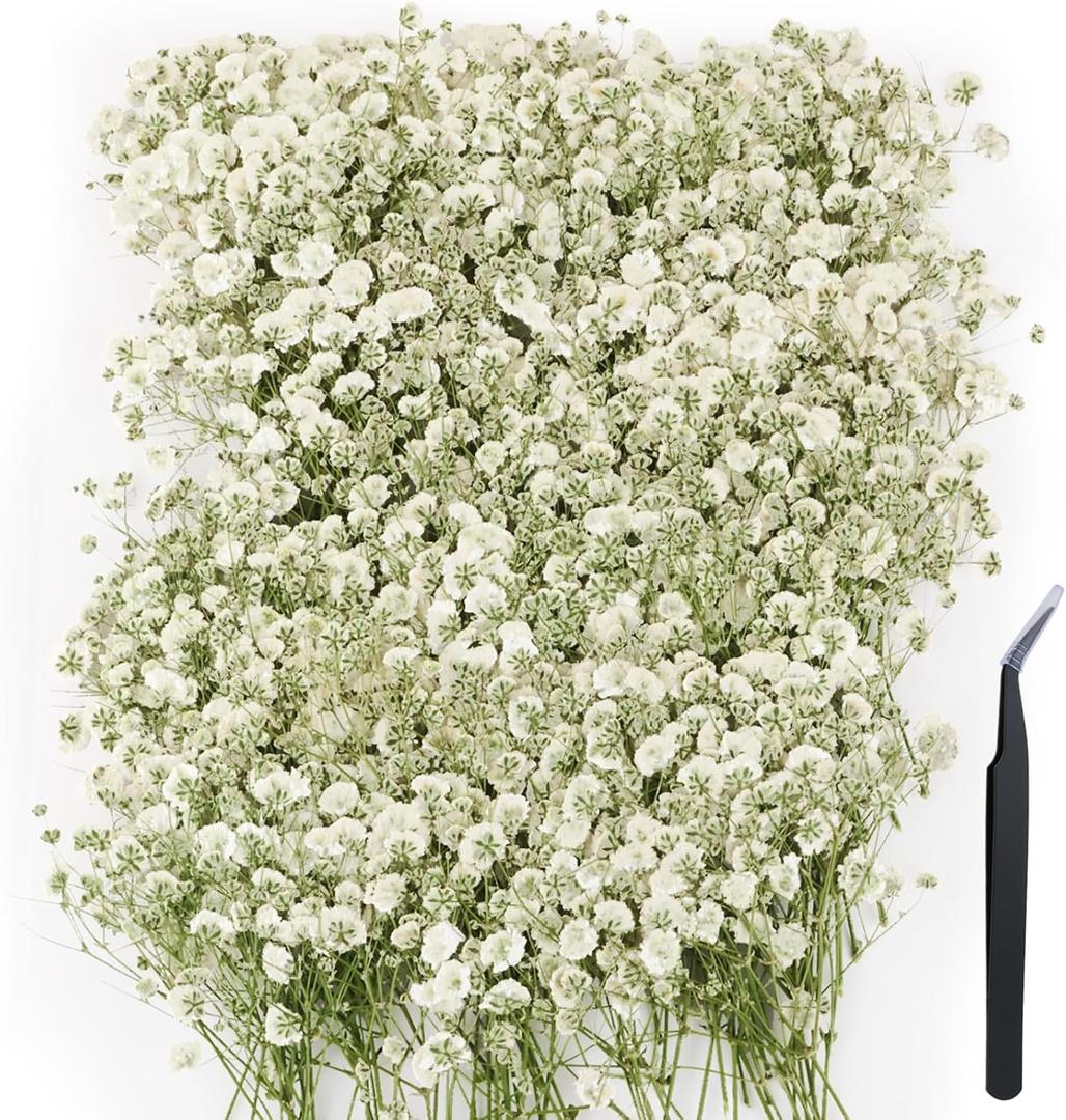 200 pcs Mini Dried Pressed Babys Breath Flowers Bulk - Real Natural Flat Flowers for Epoxy Craft, Scrapbooking, Wedding Invitations, Home Decor, DIY Gifts for Crafters (L-200p c s)