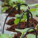 BOXOB 100pcs Drip Irrigation Support Stakes, Ideal for 1/4 Inch Tubing Drip Hold System Parts Supplies for Vegetable Flower Beds Lawn Indoor Outdoor Use