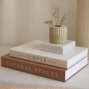 Beautiful Decorative Books - Set of 2 Boxes Enhance Your Coffee Table, Bookshelf or Mantel Shelf Decor - Aesthetic Fake/Faux Books for Modern Home Decoration, Photo Storage and as a Keepsake Box