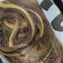 Long Honey Blonde Wig with Bangs for Women, 4x4 Realistic Scalp,Free Parting, Layered Hairstyle Synthetic Heat Resistant for Daily Party Use 26 inch