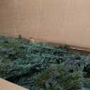 7ft Artificial Christmas Tree, Feel Real Unlit Hinged Xmas Spruce Tree w/ 1260 Mixed PE & PVC Branch Tips, Metal Stand, Wintry Indoor Decoration for Holiday Festival