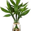 Artificial Lucky Bamboo Plant 17.3 Fake Plant in Glass Vase for Home Indoor Table Centerpieces Desk Office Living Room Bedroom Decoration