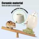 Hamster Water Bottle for Glass Tank, Carrot Ceramic Stand Holder with 80ML Bottle, Chew Proof Gerbil Water Dispenser for Dwarf Syrian Hamster Mice Rat