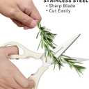 Kitchen Scissors for Food, HUNTER.DUAL Heavy Duty Come Apart Poultry Shears for Cooking, All Purpose for Cutting Chicken, Meat, Fish & Vegetables (Cream, 8.35 Inch)