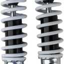 10" 11" Adjustable Front Shock 2pcs set for 50cc 70cc 90cc 110cc 125cc KID Quad ATV Go Kart Coolster TaTao