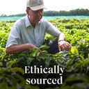 Starbucks K-Cup Coffee Pods, Pumpkin Spice Flavored for Keurig Coffee Makers, 100% Arabica, Limited Edition, 1 Box (22 Pods)