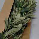 HomeKaren Olive Stems 6 Pcs 18 inch Artificial Olives Green Leaves Picks, Spring Branches Decor for Vase, Greenery Vase Filler Home Decoration Indoor