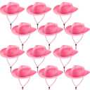Hicarer 12 Pieces Disposable Plastic Cowboy Hat Set for Party Felt Wide Brimmed Western Cowgirl Hat for Men Women