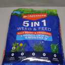 BioAdvanced 5 In 1 Weed and Feed, Granules, 24LB (10000 Square Feet)