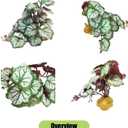 Woyrise Reptile Artificial Plants for Terrarium Decor, Amphibian Habitat Hideout Bearded Dragon Tank Decorations fit Crested Gecko Leopard Lizard Chameleon Ball Python Snake Frog - Saxifrage