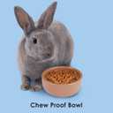 Kaytee Stoneware Ceramic Pet Hamster Bowl, Brown, 4-Inch