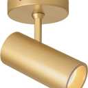 Aisilan 9W LED Gold Directional Dimmable Ceiling Spotlight Indoor, Anti-Glare Adjustable Angle Wired Spot Light for Picture, Bedroom and Kitchen - Warm Light 3000K, CRI 97 Flicker-Free