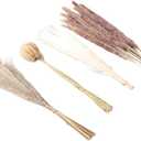 Yosoo 50 Bunny Tail Grass, 15 White Pampas, 15 Brown Pampas 20 Reed Grass Dried Pampas Grass Set for Home Wedding Decor